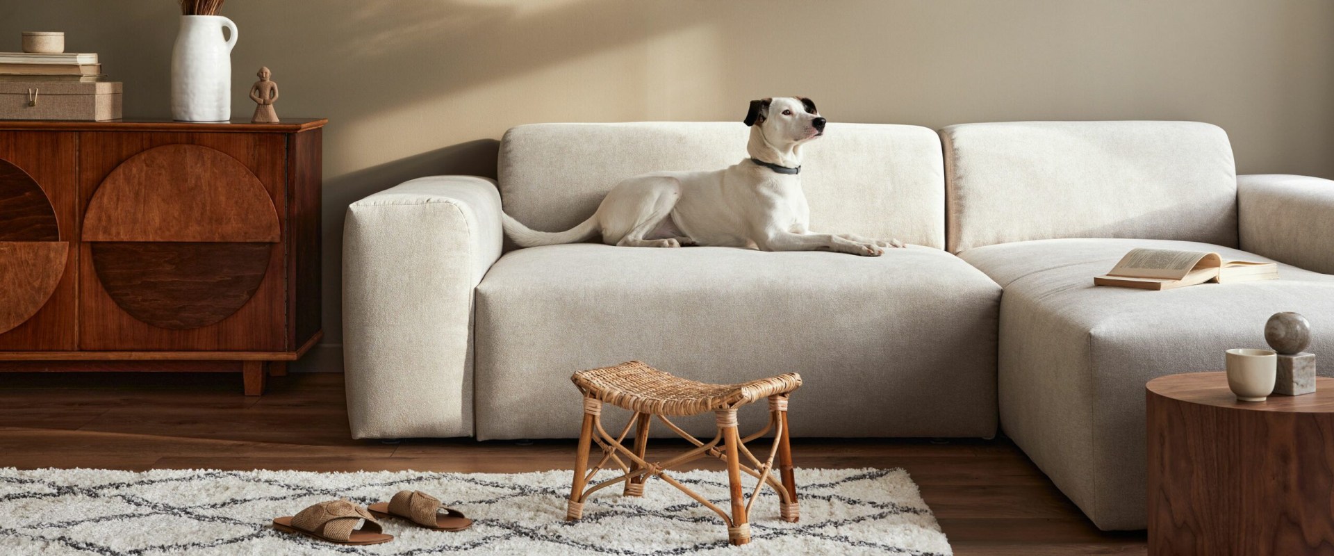 Eliminating Pet Odors from Carpets: A Comprehensive Guide