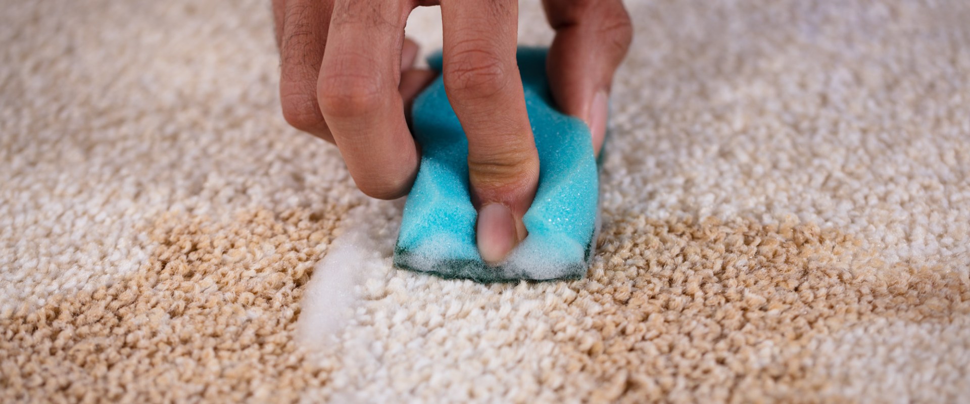 How to Easily Get Rid of Food Stains from Your Carpet