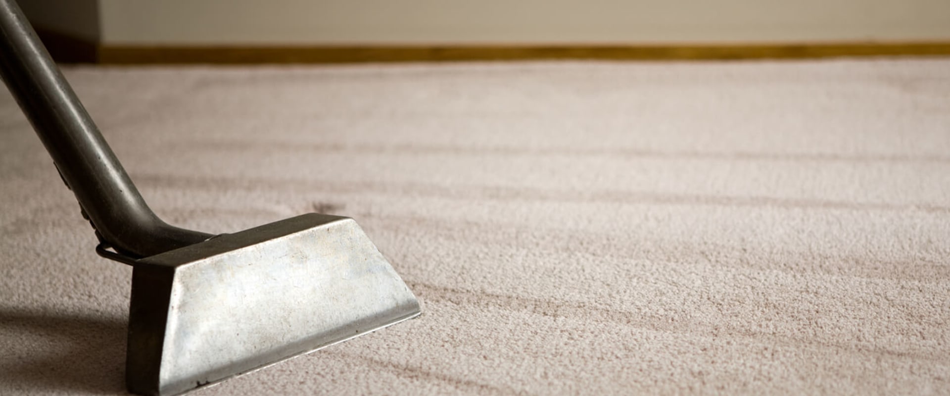Is it Time for Professional Carpet Cleaning?