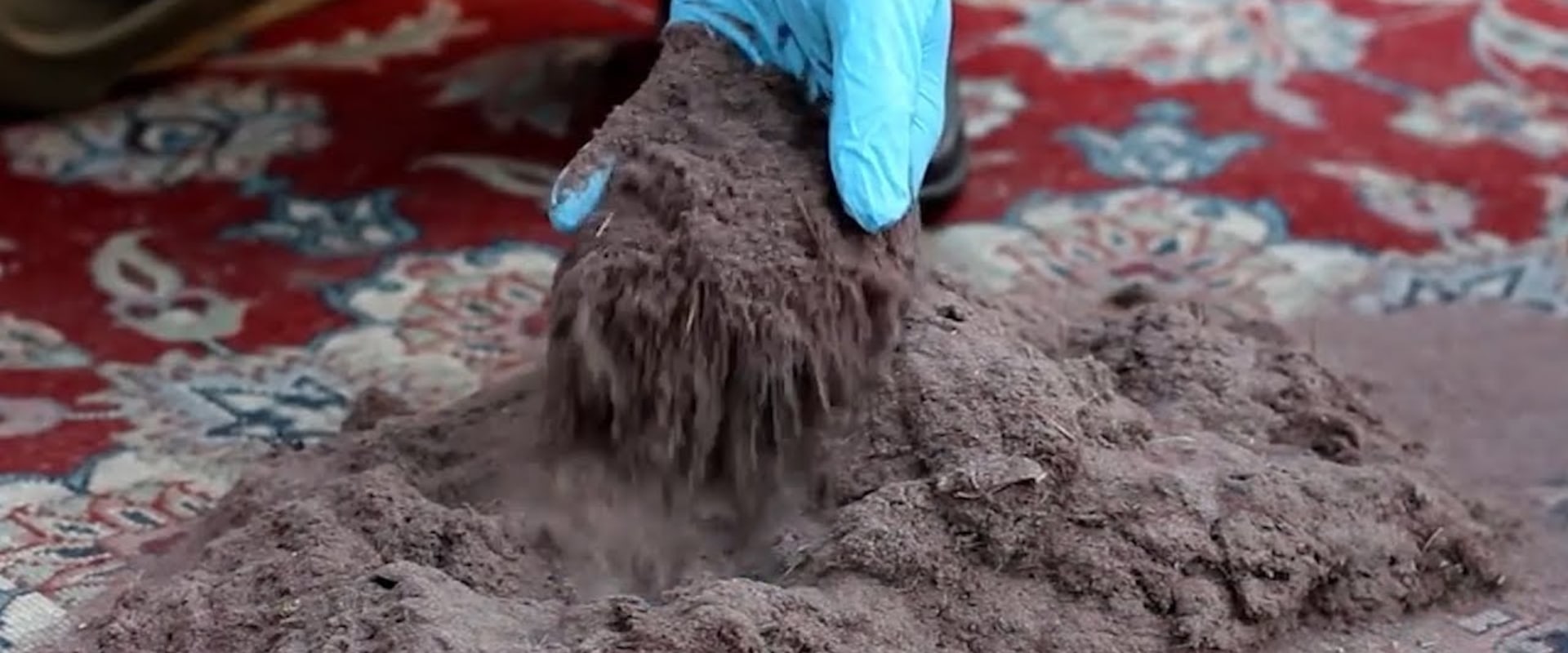 How to Effectively Clean Dust and Dirt from Your Carpets