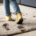 How to Keep Your Carpets Clean and Stain-Free: A Guide for Homeowners