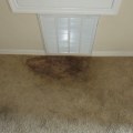 How to Get Rid of Mold from Carpets: A Comprehensive Guide