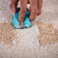 How to Easily Get Rid of Food Stains from Your Carpet