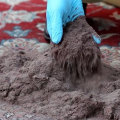 How to Effectively Clean Dust and Dirt from Your Carpets