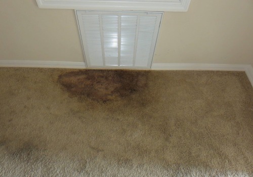 How to Get Rid of Mold from Carpets: A Comprehensive Guide