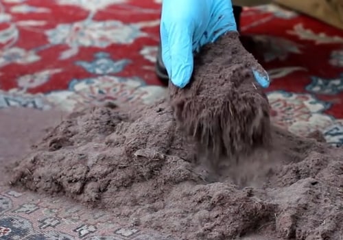 How to Effectively Clean Dust and Dirt from Your Carpets